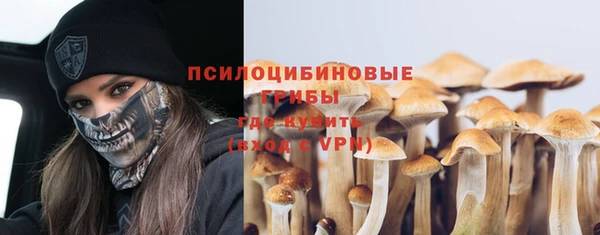 PSILOCYBIN Дедовск