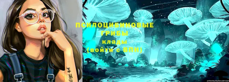 магазин продажи   мега   Галлюциногенные грибы Magic Shrooms  Мосальск 